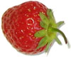 opacity: 0.2 CSS opacity - CSS прозрачность = 0.2